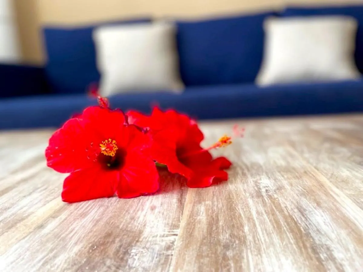 Odi'S House Corralejo Apartman Spanyolország